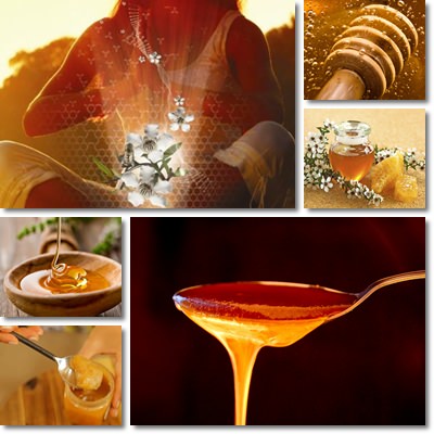 Il miele di manuka MGO™ e le sue proprietà