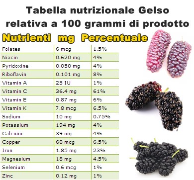 Tabella nutrizionale Gelso