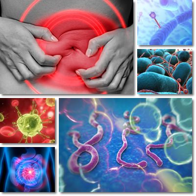 Virus intestinale: rimedi, sintomi e consigli