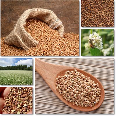 Proprietà e benefici grano saraceno