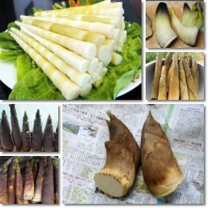 Proprietà e benefici germogli di Bambù