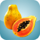 Icona Papaya