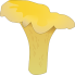 Funghi Galletti