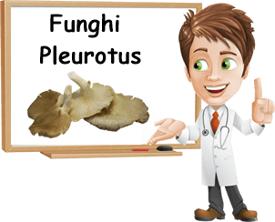 benefici funghi pleurotus